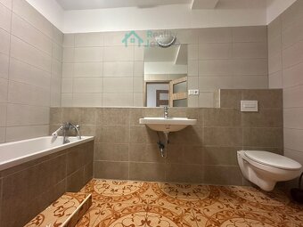 Prodej byt, 3+kk, 114 m2, Načešice - 13