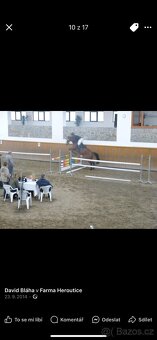 Klisna ČT - 13