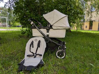 Buffalo Bugaboo - 13