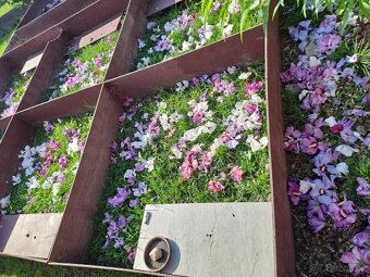 Suchozemské želvy + terária - 13