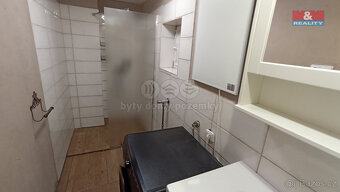 Prodej rodinného domu, 203 m², Vitín, okr. České Budějovice - 13