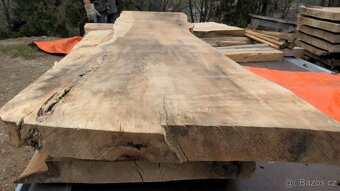 Jilmové suché fošny, sušeno 5,5 roku - 13