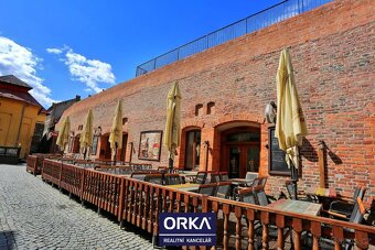 Pronájem luxusního baru La Giraldilla-La Bodega Cubana v Olo - 13