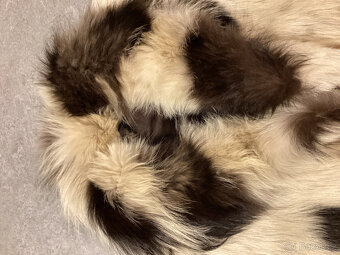 Kožíšek hnědobéžový pravý - 13