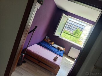 Prodej bytu 2+1 45.m2 Olomouc Nové Sady - 13