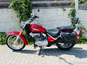 Suzuki VL 125 Intruder r.v.2001 najeto 35tis km - 13