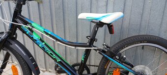 Superior Paint 20" - 13