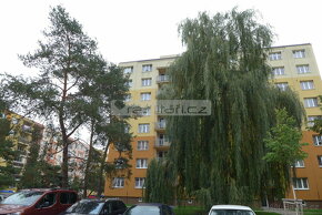 Prodej útulného bytu 1+1 po částečné rekonstrukci v Dobřanec - 13