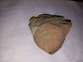 S92 Sbírka 38 ks minerálů, hornin a zkamenělin - 13