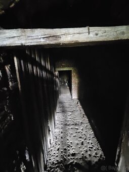 Pozemek,Prodam RD+dvur+ zahrada ,pozemek 1139 m2 Bučovice - 13