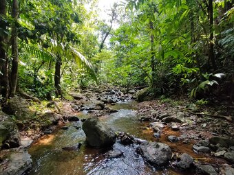Pozemky a domy Kostarika - 13