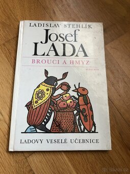 Knihy,komiks,leporelo Hašek/Světlá/Foglar/Háj/Lada - 13