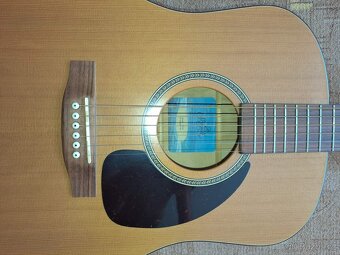 Kytara SEAGULL ELEKTROAKUSTIKA cedr masiv. - 13