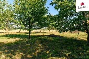 Prodej zahrady 1690 m2, Slezské Rudoltice - 13