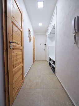 Dlouhodobý pronájem bytu 2+1 (54 m²) - 13