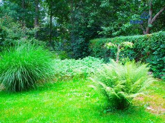 Prodej, zahrada 615 m2 s chatkou, obec Běšiny u Klatov - 13