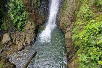 Farma Kostarika Golfito - 13