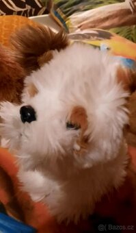 Plyšáci jako nové - 13