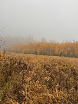 Prodej lesních pozemků k.ú. Úboč - 13