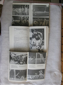 fotbal - 13