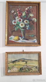 František Bukáček - 13