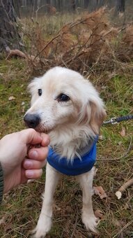 VIKY & ZORKA - umazlené babičky čekají na svého anděla - 13