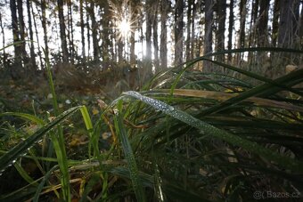 Canon RF 16 mm F2.8 STM - 13