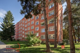 Prodej, byty/3+1, 65 m2, Baarova 2506/21, 30100 Plzeň, Plzeň - 13