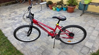 Dívčí kolo 24' - 13
