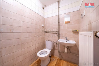 Prodej rodinného domu, 198 m², Břasy - 13