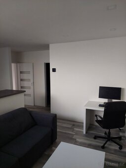 Pronájem kompletně zařízeného bytu 2+kk, 51 m² – Sedlec - 13