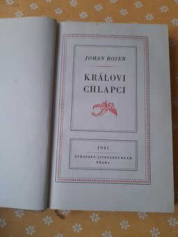 BARUNKA-DIVÁ BÁRA- DÍVKY TEPANÉ ZE STŘÍBRA-POHÁDKY - 13