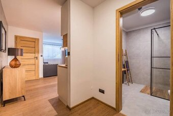 Pronájem bytu 2+1 Kyjov - 13