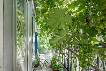 Prodej pěkného domu 4+1, Ždírec nad Doubravou - 13