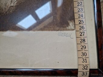 Obrazy - cenu nabídněte - 13