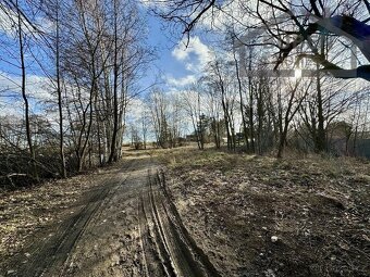 Pozemky pro komerční výstavbu 12 884 m² - Tachov - 13
