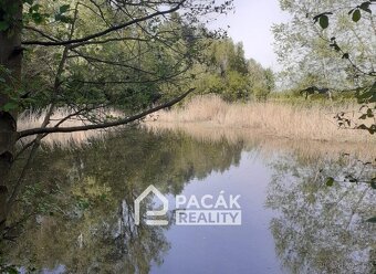 Prodej rybník, 15 995 m2 - Kožušany-Tážaly - Kožušany - 13