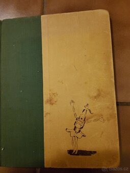 Knížky pro děti (české) - 13