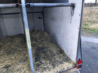 Přepravník na koně Böckmann se sedlovnou - celolaminátový - 13