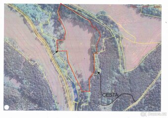 Prodej pozemku - louka, les - 13