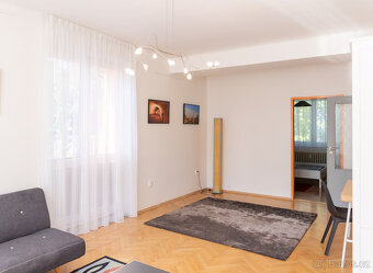Pronájem bytu 2+1, Pod Lipami, Žižkov, 21300 Kč/měs, 53 m2 - 13