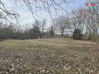 Prodej ovocného sadu, 1184 m², Nová Ves - 13