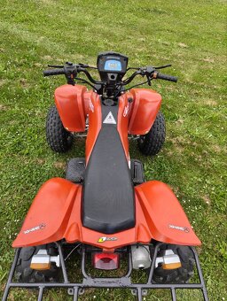 Bashan 200 - 13
