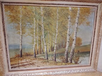 Obrazy pozůstalost - 13