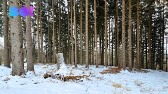 Prodej půdy a lesa, 17 190 m², Liptál - 13