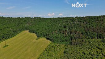 Prodej pozemek Lesy, 3149㎡ - 13