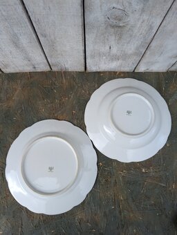 2ks vintage talíře, Alpeflora, zn.Altrohlau MZ. - 13