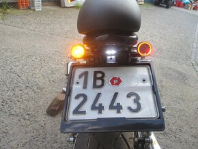 Suzuki LS 650 Savage - 13