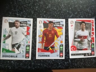 Puzzle,pexeso,karty,společenská hra,sběratelské kartičky - 13