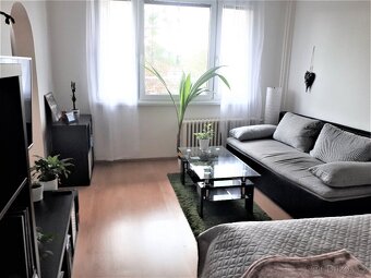 Pronájem bytu 1+1, 32 m2, ul. V. Talicha - 13